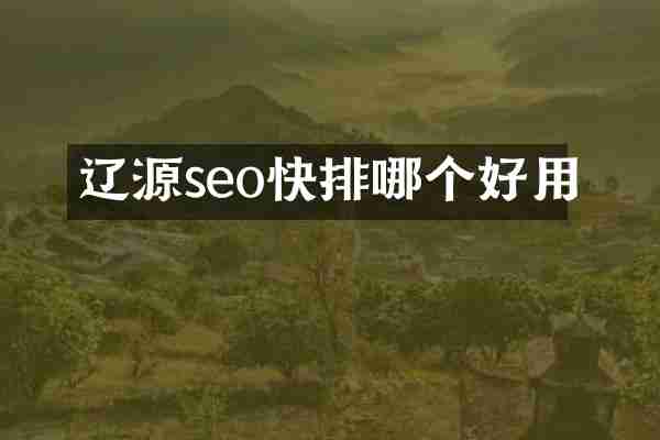 辽源seo哪个好用