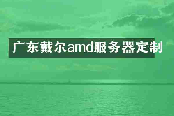 广东戴尔amd服务器定制