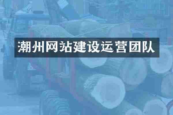 潮州网站建设运营团队