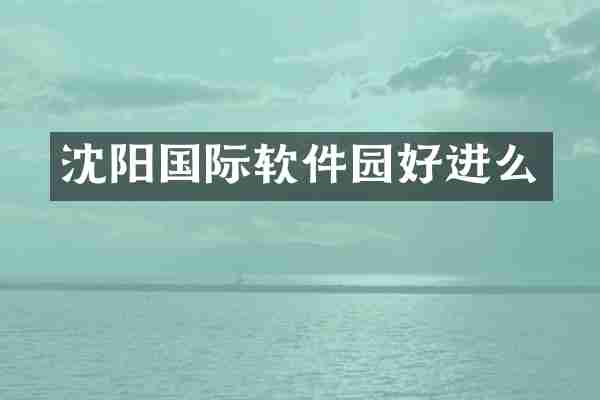 沈阳国际软件园好进么