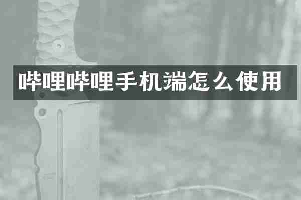哔哩哔哩手机端怎么使用