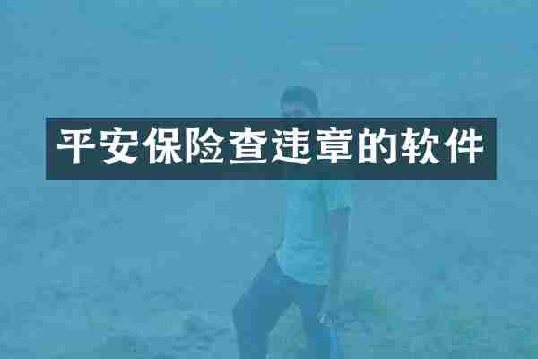 平安保险查违章的软件