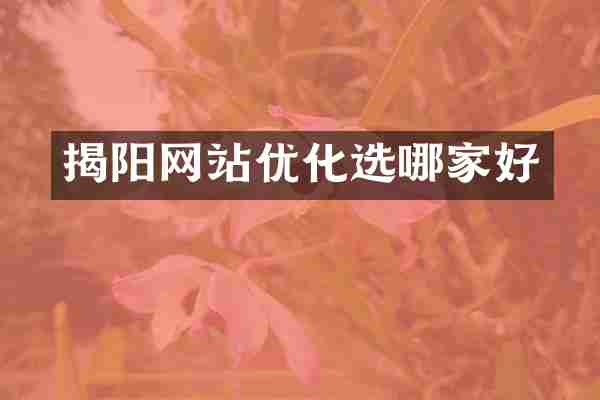 揭阳网站优化选哪家好