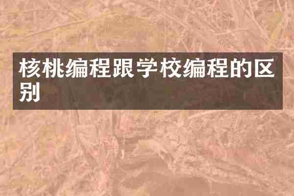 核桃编程跟学校编程的区别