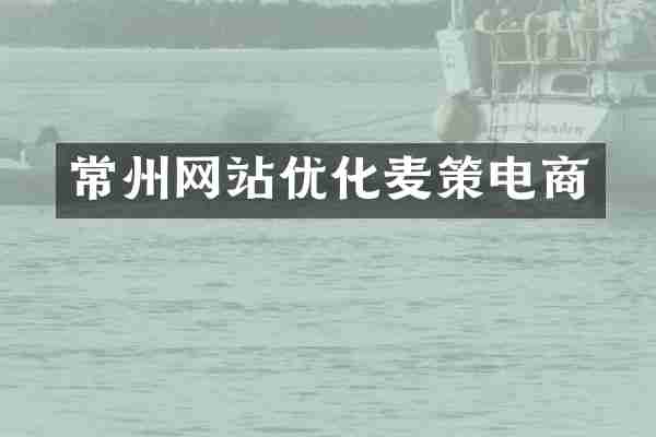 常州网站优化麦策电商