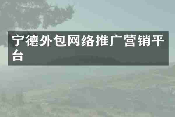 宁德外包网络推广营销平台