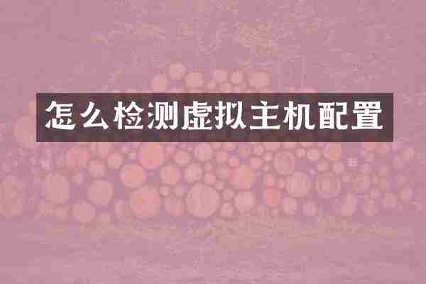 怎么检测虚拟主机配置