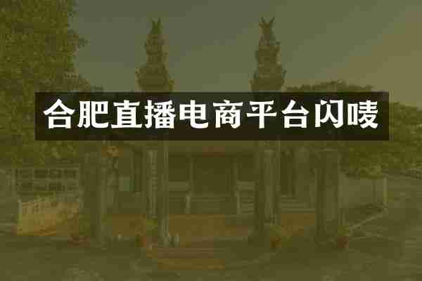 合肥直播电商平台闪唛