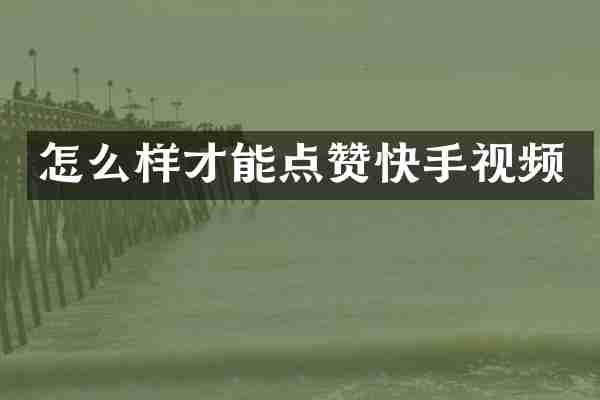 怎么样才能点赞快手视频