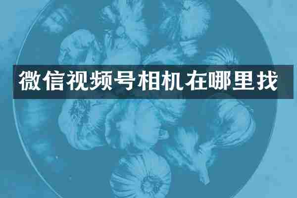 微信视频号相机在哪里找