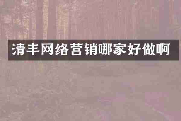 清丰网络营销哪家好做啊