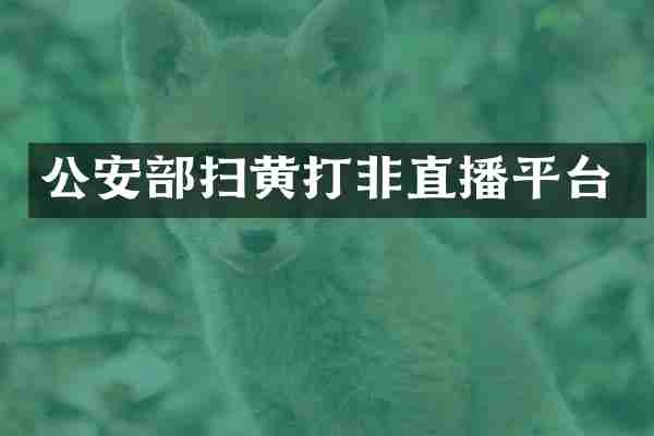 公安部打非直播平台