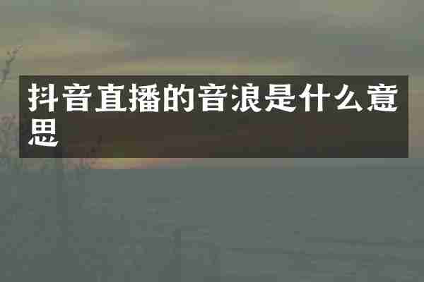 抖音直播的音浪是什么意思