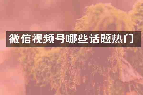 微信视频号哪些话题热门