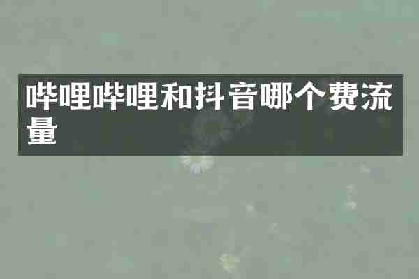 哔哩哔哩和抖音哪个费流量