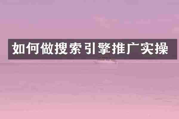 如何做搜索引擎推广实操