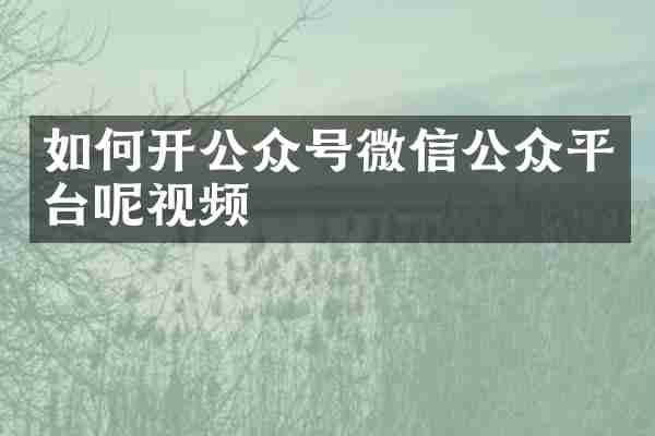 如何开公众号微信公众平台呢视频