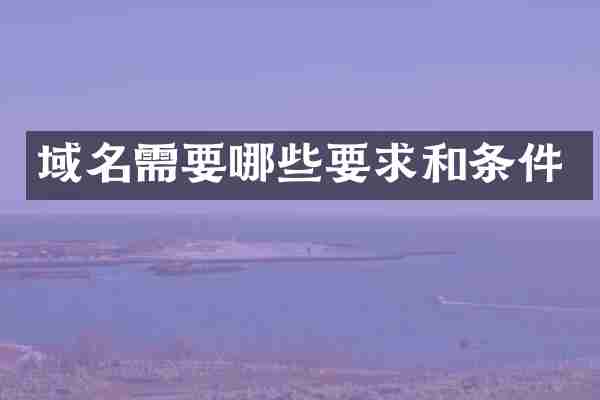 域名需要哪些要求和条件