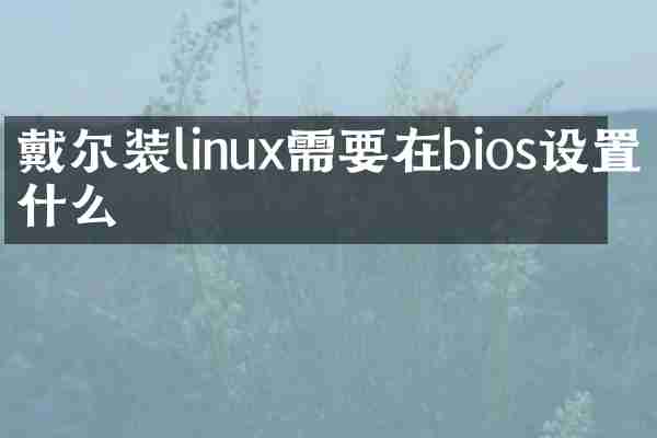 戴尔装linux需要在bios设置什么