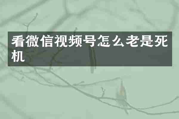 看微信视频号怎么老是死机