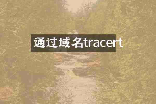 通过域名tracert