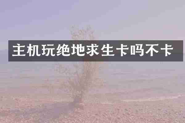主机玩绝地求生卡吗不卡