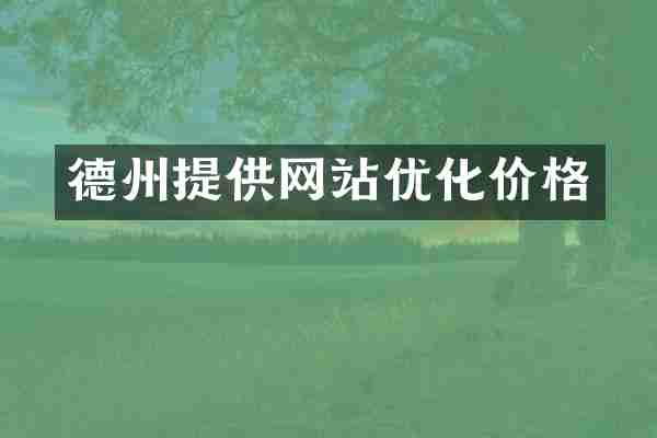 德州提供网站优化价格