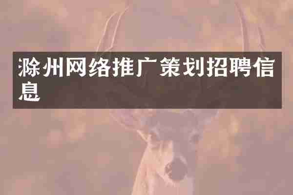 滁州网络推广策划招聘信息