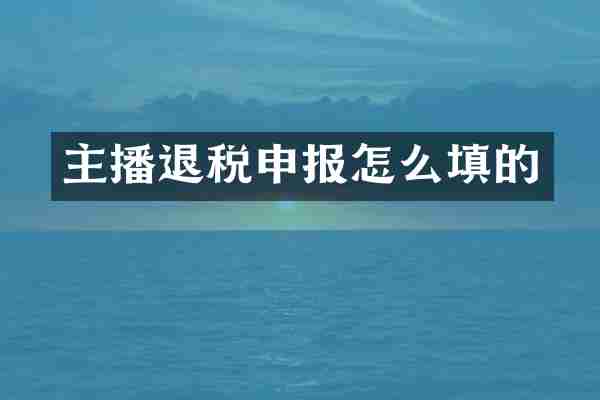 主播退税申报怎么填的