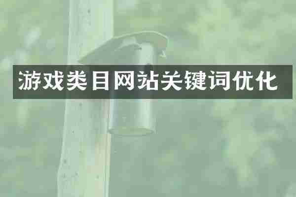 游戏类目网站关键词优化