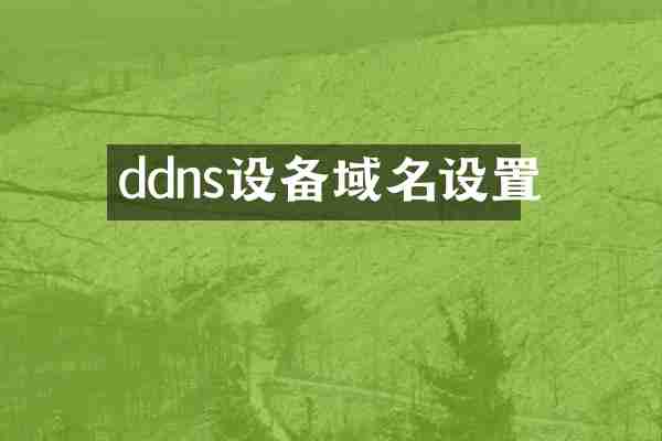 ddns设备域名设置