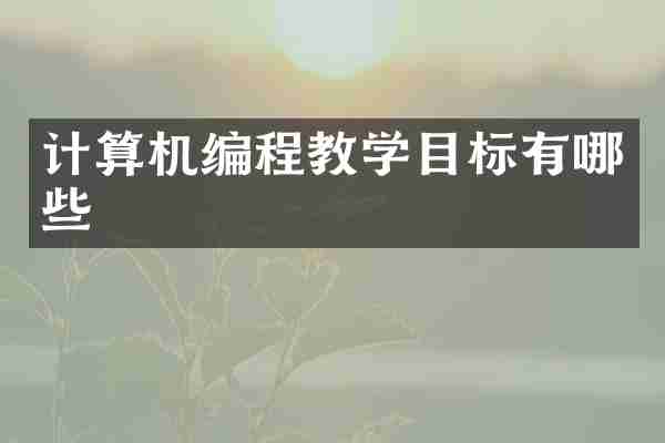 计算机编程教学目标有哪些