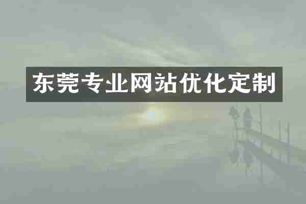东莞专业网站优化定制