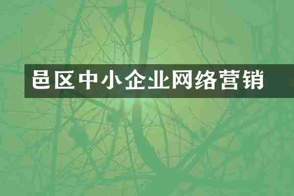 鄠邑区中小企业网络营销