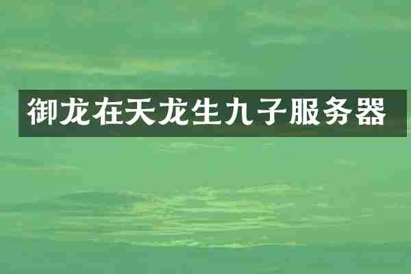 御龙在天龙生九子服务器