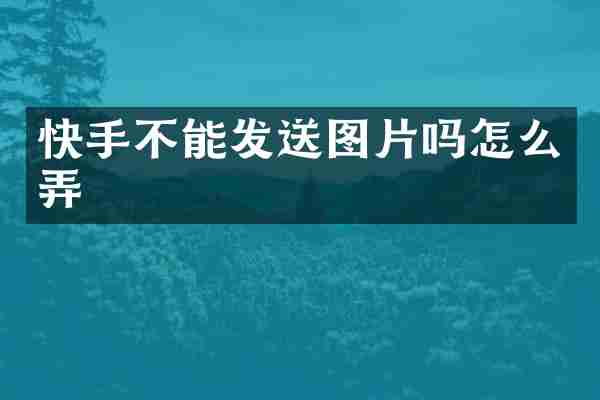 快手不能发送图片吗怎么弄