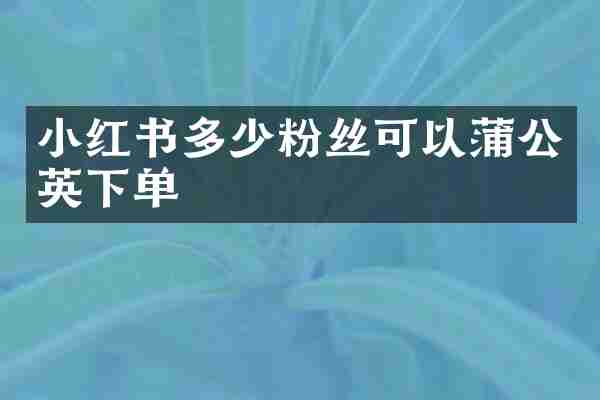 小红书多少粉丝可以蒲公英下单