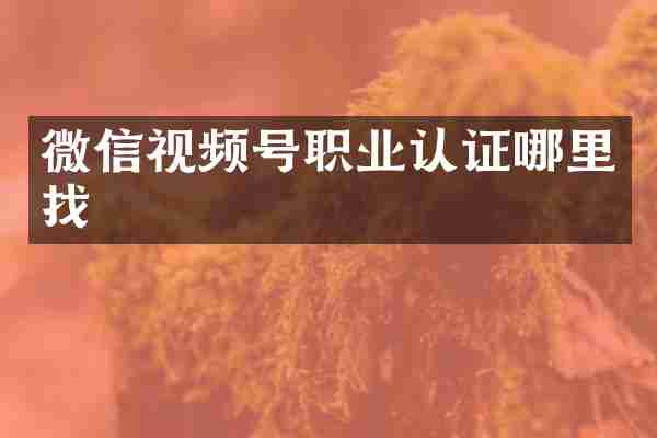 微信视频号职业认证哪里找