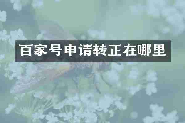 百家号申请转正在哪里