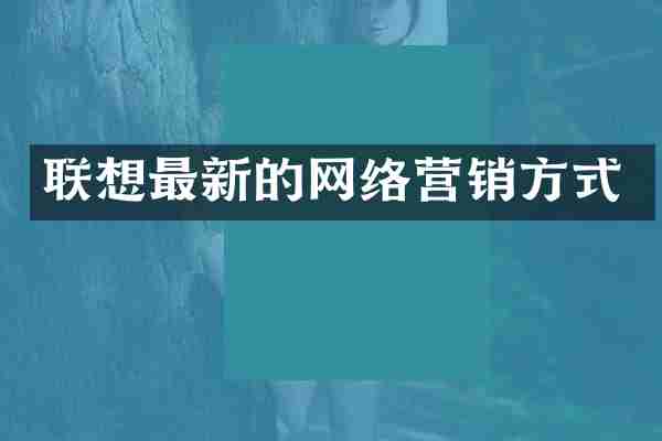 联想最新的网络营销方式