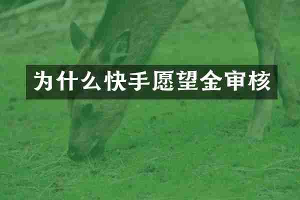 为什么快手愿望金审核