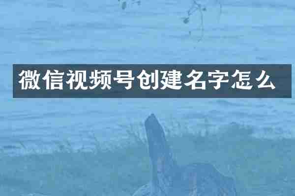 微信视频号创建名字怎么