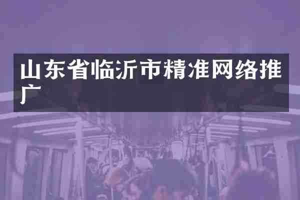 山东省临沂市精准网络推广