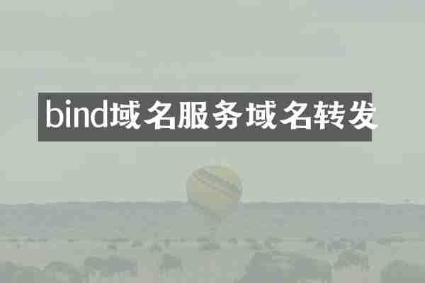 bind域名服务域名转发