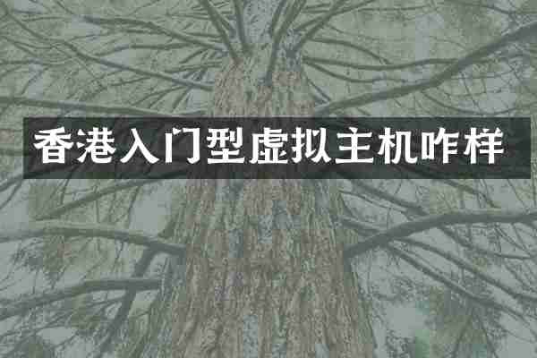 香港入门型虚拟主机咋样