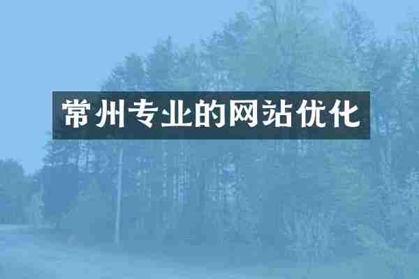 常州专业的网站优化