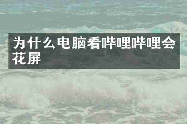 为什么电脑看哔哩哔哩会花屏