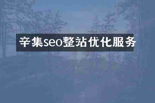 辛集seo整站优化服务