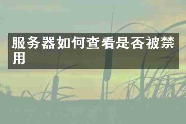 服务器如何查看是否被禁用