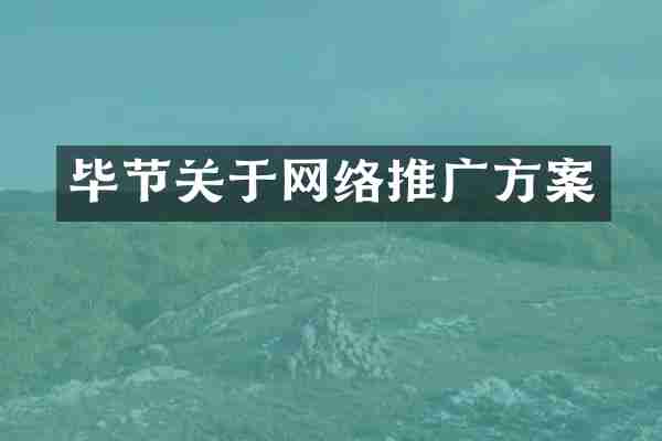 毕节关于网络推广方案